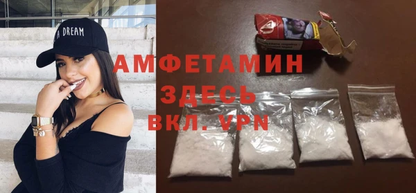 гидра Богданович