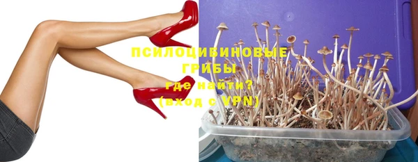ГАЛЛЮЦИНОГЕННЫЕ ГРИБЫ Богородск
