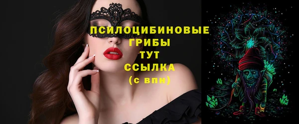 apvp Белокуриха