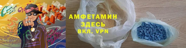 гидра Богданович