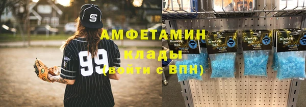 гидра Богданович