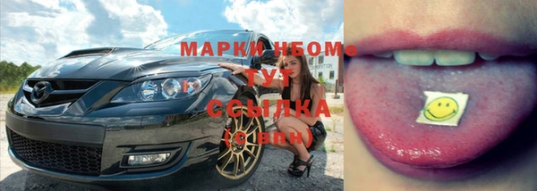 apvp Белокуриха