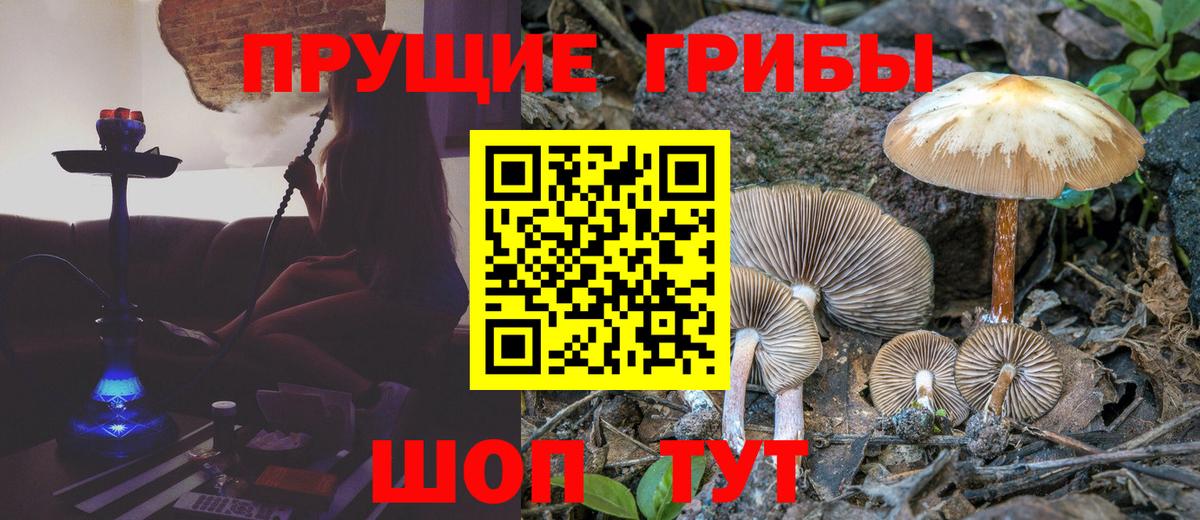 КОКАИН  ГАШ  Великий Устюг  MDMA  Бошки Шишки  Мефедрон   Вход с VPN 