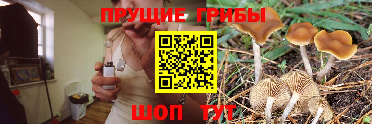 Галлюциногенные грибы ЛСД Великий Устюг