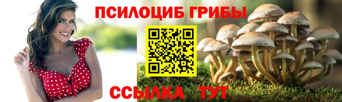 Великий Устюг  Галлюциногенные грибы GOLDEN TEACHER  Вход с VPN 